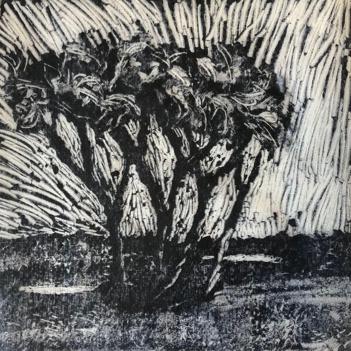 Marie jo arbres monotype 03 2020