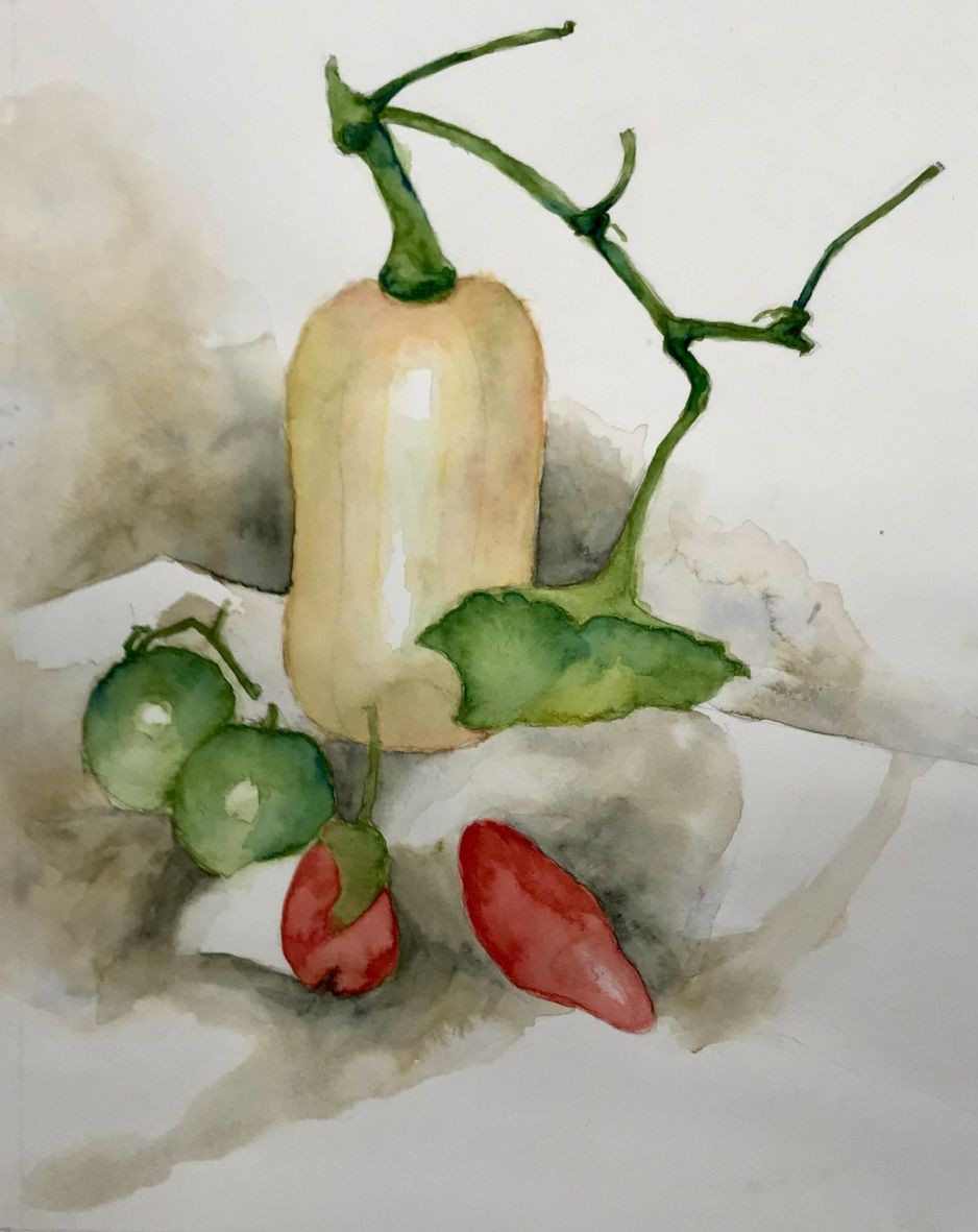 Nicole butternut et le gumes d e te aquarelle 03 2021