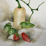 Nicole butternut et le gumes d e te aquarelle 03 2021