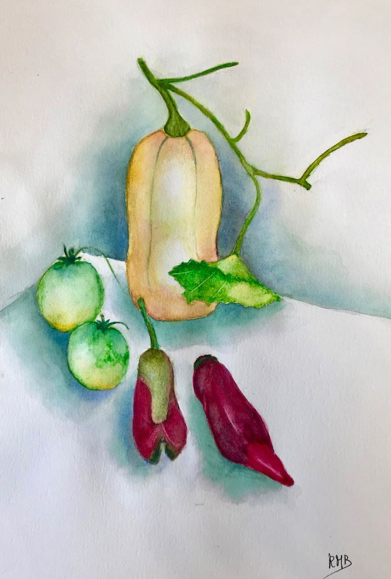 Rose marie butternut et le gumes d e te aquarelle 03 2021