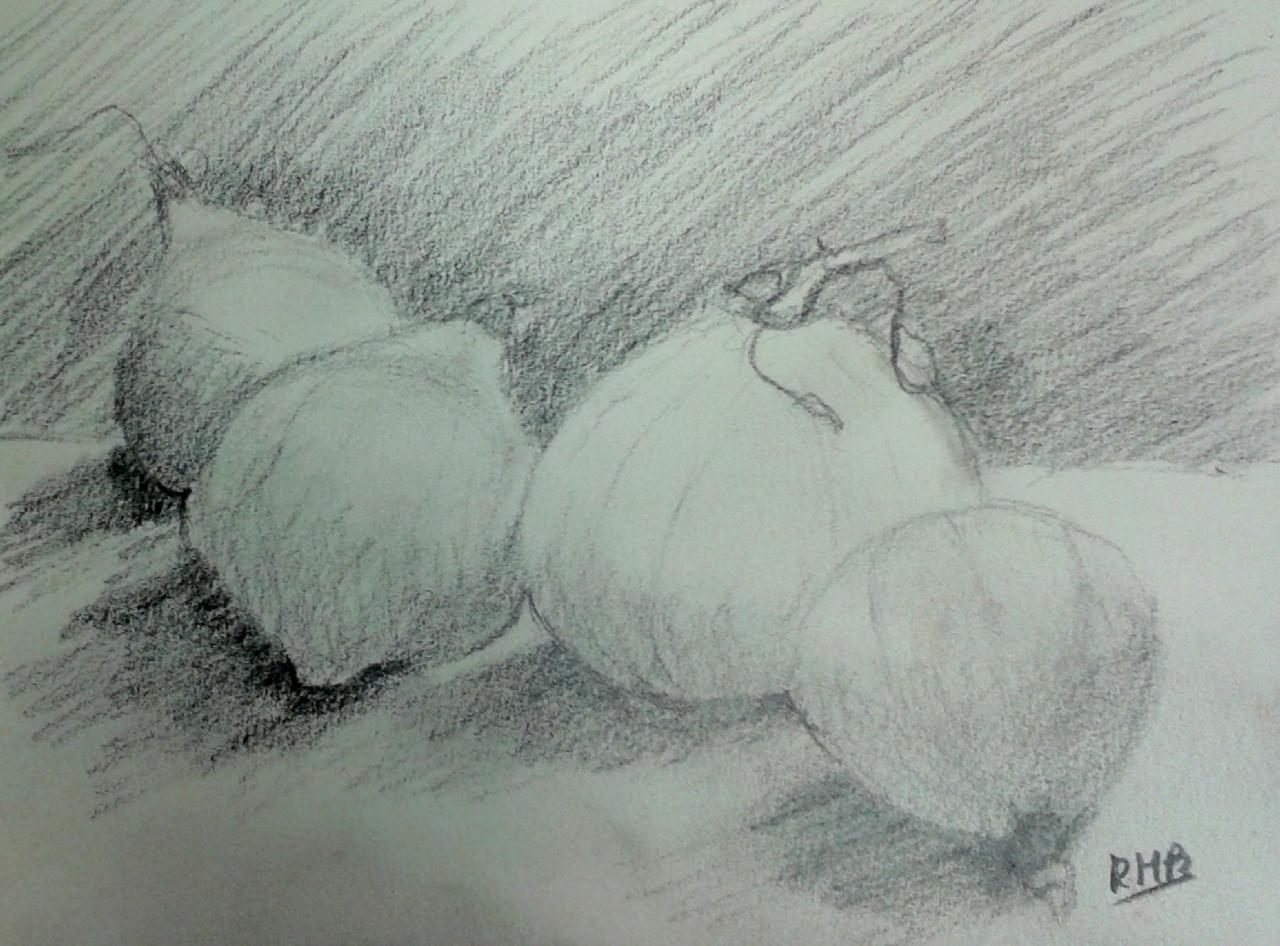 Rose Marie Courges crayon 21-10-2017